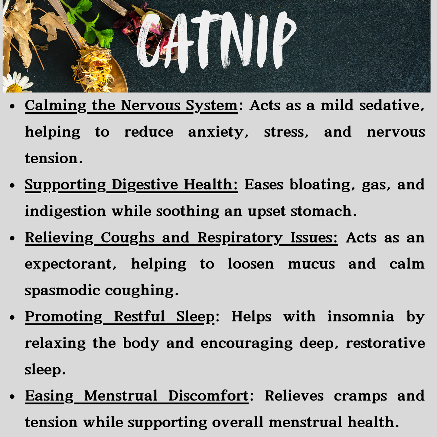 Cat Nip