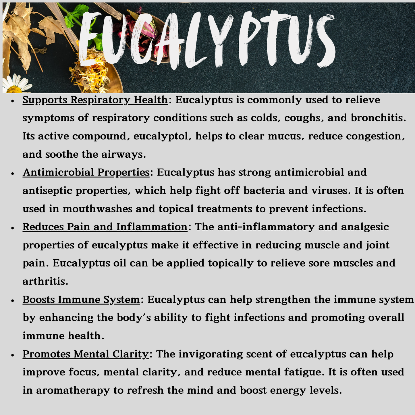 Eucalyptus