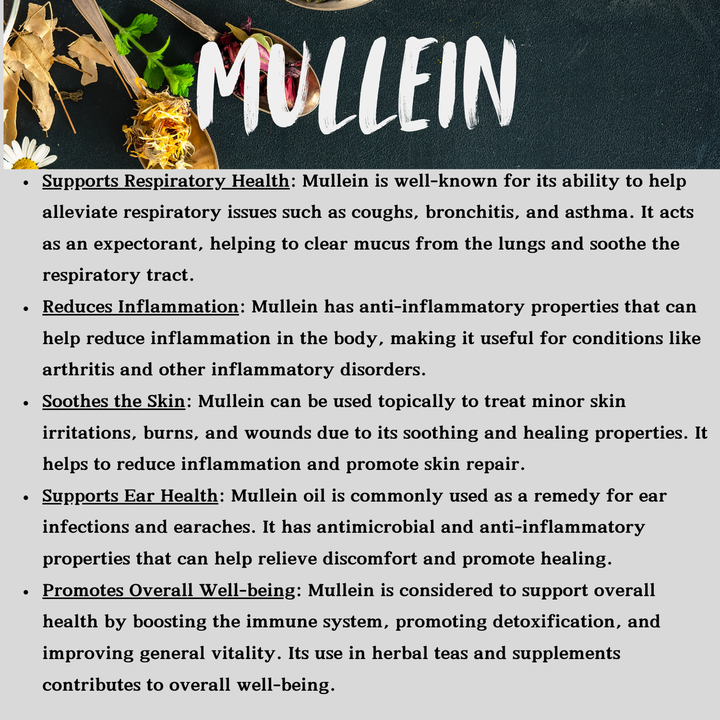 Mullein