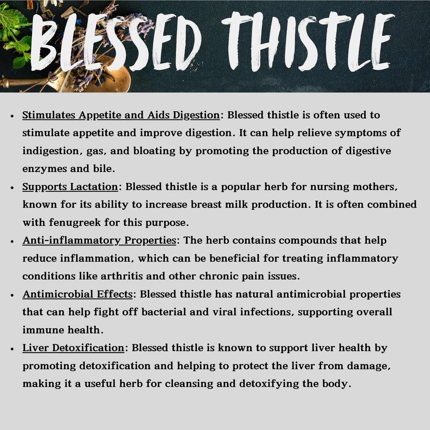 Blessed Thistle