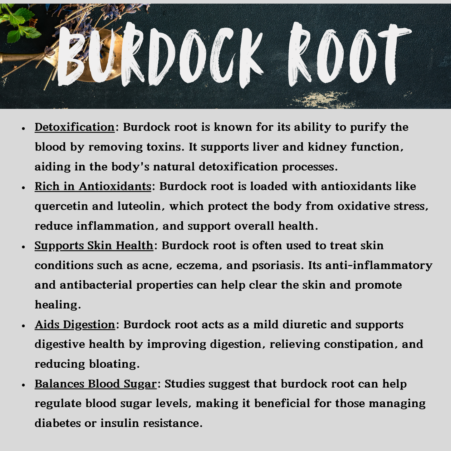 Burdock Root