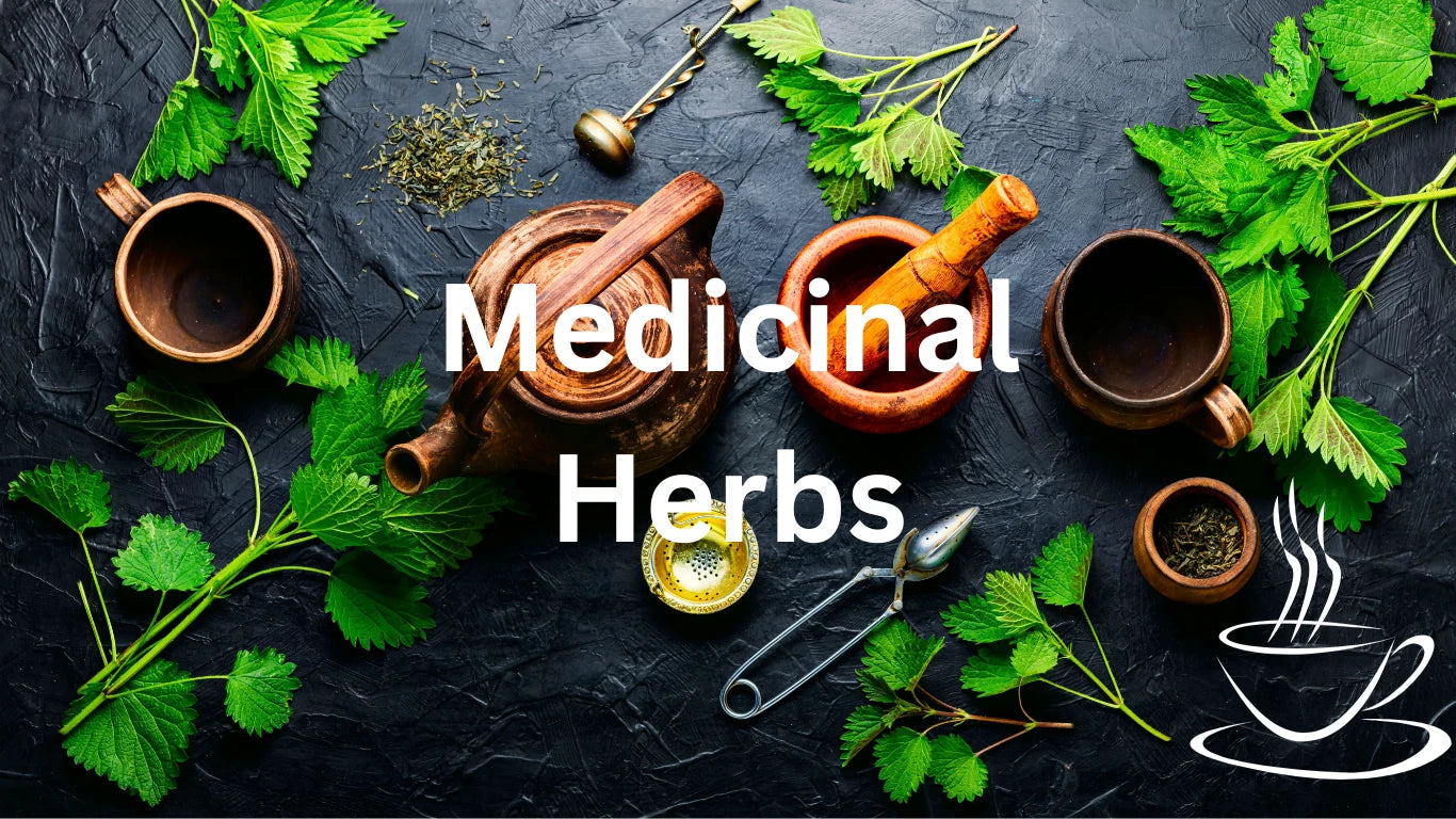 Medicinal Herbs