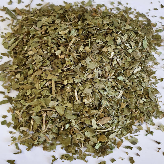 Gymnema sylvestre