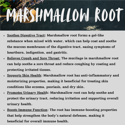 Marshmallow Root