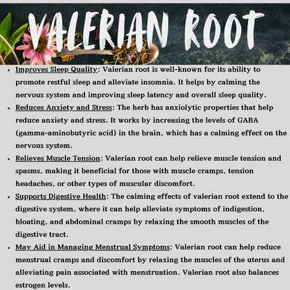 Valerian Root