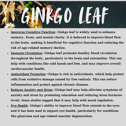 Ginkgo Leaf