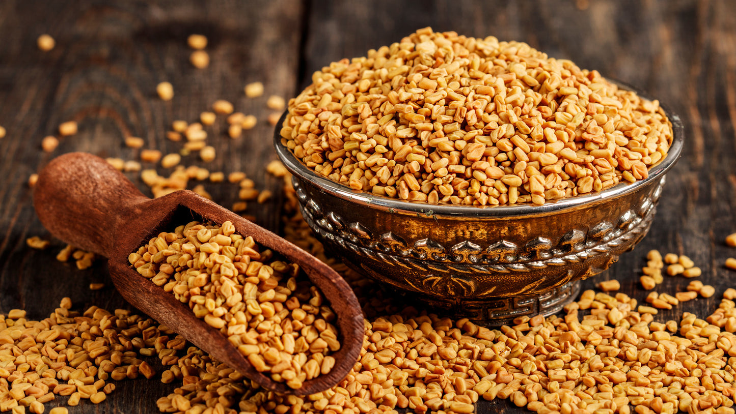 Fenugreek Seed
